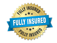 Fully Insured Carpet & Upholstery Cleaner